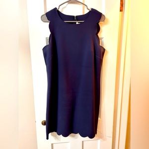 Beautiful JCrew Spring dress.  Only worn 2x
